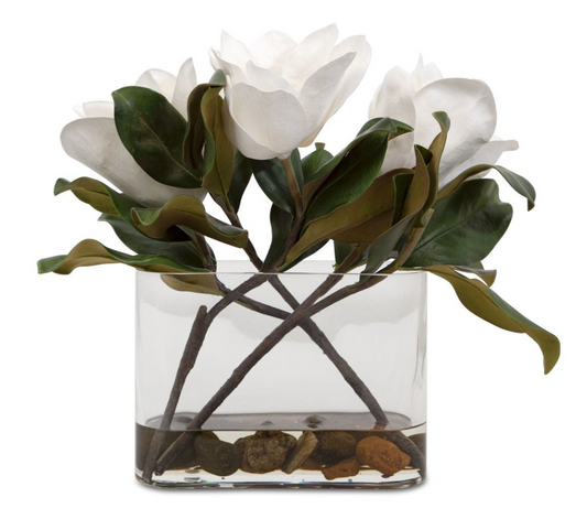 MARTIN - Magnolia in Vase